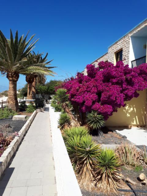 Maravilla Bungalows Cotillo エクステリア 写真